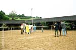 international/Brazil/2004BragancaPaulista/gallery/Cidinha/thumbnails/braganca vet2.jpg